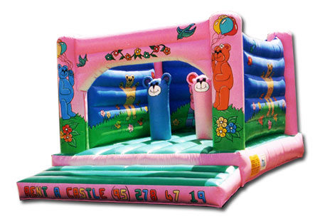 A Bouncy Castle we have manufactured